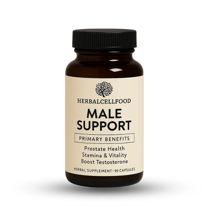MALE SUPPORT